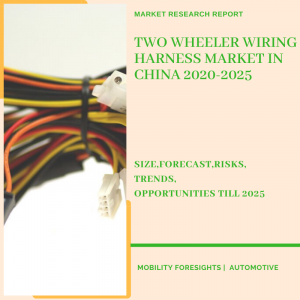 Two Wheeler Wiring Harness Market in China