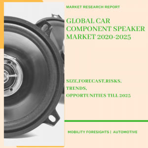 Car Component Speaker Market