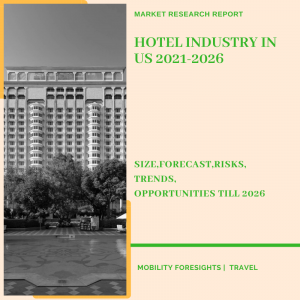 Hotel Industry In US