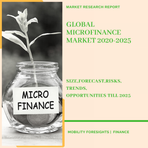 Microfinance Market