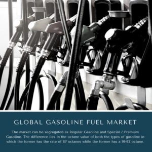 infographic: Gasoline Fuel Market, Gasoline Fuel Market Size, Gasoline Fuel Market Trends, Gasoline Fuel Market Forecast, Gasoline Fuel Market Risks, Gasoline Fuel Market Report, Gasoline Fuel Market Share