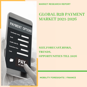 B2B Payment Market
