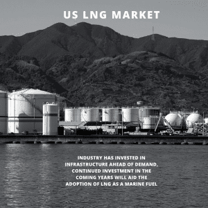 infographic: US LNG Market, US LNG Market Size, US LNG Market Trends, US LNG Market Forecast, US LNG Market Risks, US LNG Market Report, US LNG Market Share