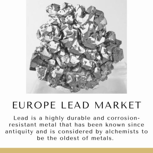 Lead Market