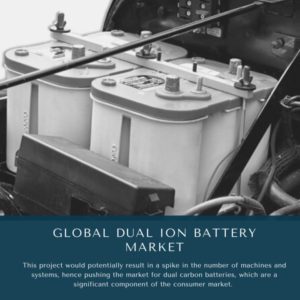 infographic: Dual Ion Battery Market, Dual Ion Battery Market Size, Dual Ion Battery Market Trends, Dual Ion Battery Market Forecast, Dual Ion Battery Market Risks, Dual Ion Battery Market Report, Dual Ion Battery Market Share