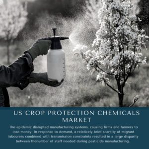 infographic: US Crop Protection Chemicals Market, US Crop Protection Chemicals Market Size, US Crop Protection Chemicals Market Trends, US Crop Protection Chemicals Market Forecast, US Crop Protection Chemicals Market Risks, US Crop Protection Chemicals Market Report, US Crop Protection Chemicals Market Share