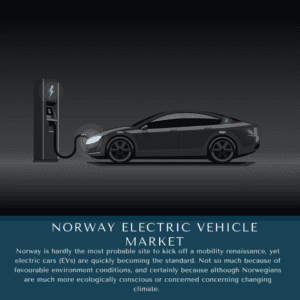 infographic: Norway Electric Vehicle Market, Norway Electric Vehicle Market Size, Norway Electric Vehicle Market Trends, Norway Electric Vehicle Market Forecast, Norway Electric Vehicle Market Risks, Norway Electric Vehicle Market Report, Norway Electric Vehicle Market Share