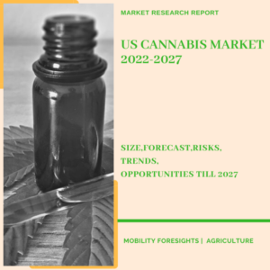 US Cannabis Market