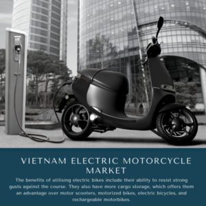 infographic: Vietnam Electric Motorcycle Market, Vietnam Electric Motorcycle Market Size, Vietnam Electric Motorcycle Market Trends, Vietnam Electric Motorcycle Market Forecast, Vietnam Electric Motorcycle Market Risks, Vietnam Electric Motorcycle Market Report, Vietnam Electric Motorcycle Market Share