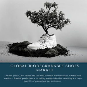 infographic: Biodegradable Shoes Market, Biodegradable Shoes Market Size, Biodegradable Shoes Market Trends, Biodegradable Shoes Market Forecast, Biodegradable Shoes Market Risks, Biodegradable Shoes Market Report, Biodegradable Shoes Market Share