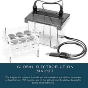 infographic: Electroelution Market, Electroelution Market Size, Electroelution Market Trends, Electroelution Market Forecast, Electroelution Market Risks, Electroelution Market Report, Electroelution Market Share