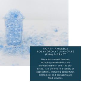 Infographic: North America Polyhydroxyalkanoate (PHA) Market, North America Polyhydroxyalkanoate (PHA) Market Size, North America Polyhydroxyalkanoate (PHA) Market Trends, North America Polyhydroxyalkanoate (PHA) Market Forecast, North America Polyhydroxyalkanoate (PHA) Market Risks, North America Polyhydroxyalkanoate (PHA) Market Report, North America Polyhydroxyalkanoate (PHA) Market Share