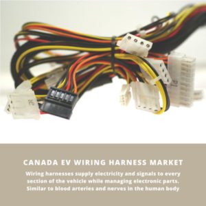infographic: Canada EV Wiring Harness Market, Canada EV Wiring Harness Market Size, Canada EV Wiring Harness Market Trends, Canada EV Wiring Harness Market Forecast, Canada EV Wiring Harness Market Risks, Canada EV Wiring Harness Market Report, Canada EV Wiring Harness Market Share