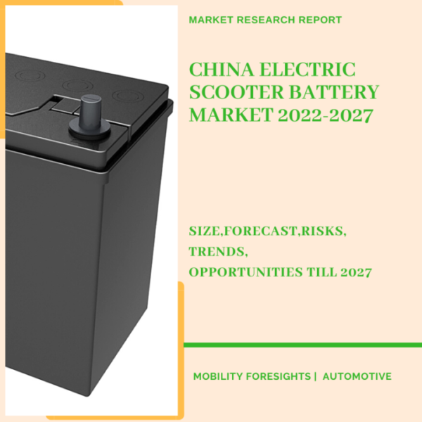 China Electric Scooter Battery Market