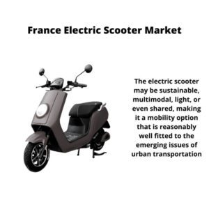 Infographic ; France Electric Scooter Market, France Electric Scooter Market Size, France Electric Scooter Market Trends, France Electric Scooter Market Forecast, France Electric Scooter Market Risks, France Electric Scooter Market Report, France Electric Scooter Market Share