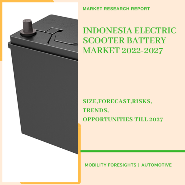 Indonesia Electric Scooter Battery Market