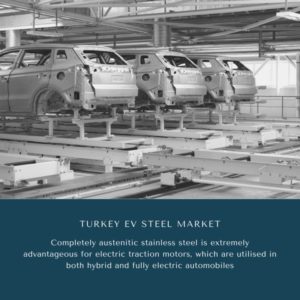 Infographic: Turkey EV Steel Market, Turkey EV Steel Market Size, Turkey EV Steel Market Trends, Turkey EV Steel Market Forecast, Turkey EV Steel Market Risks, Turkey EV Steel Market Report, Turkey EV Steel Market Share