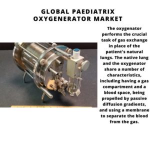 Global Paediatric Oxygenerator Market 2024-2030 1