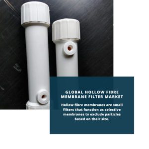 infography;Hollow Fibre Membrane Filter Market, Hollow Fibre Membrane Filter Market Size, Hollow Fibre Membrane Filter Market Trends, Hollow Fibre Membrane Filter Market Forecast, Hollow Fibre Membrane Filter Market Risks, Hollow Fibre Membrane Filter Market Report, Hollow Fibre Membrane Filter Market Share