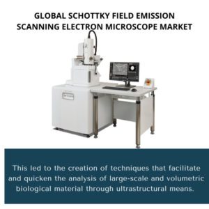 infography;Schottky Field Emission Scanning Electron Microscope Market, Schottky Field Emission Scanning Electron Microscope Market Size, Schottky Field Emission Scanning Electron Microscope Market Trends, Schottky Field Emission Scanning Electron Microscope Market Forecast, Schottky Field Emission Scanning Electron Microscope Market Risks, Schottky Field Emission Scanning Electron Microscope Market Report, Schottky Field Emission Scanning Electron Microscope Market Share