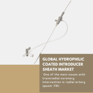 infographic: Hydrophilic Coated Introducer Sheath Market, Hydrophilic Coated Introducer Sheath Market Size, Hydrophilic Coated Introducer Sheath Market Trends, Hydrophilic Coated Introducer Sheath Market Forecast, Hydrophilic Coated Introducer Sheath Market Risks, Hydrophilic Coated Introducer Sheath Market Report, Hydrophilic Coated Introducer Sheath Market Share 