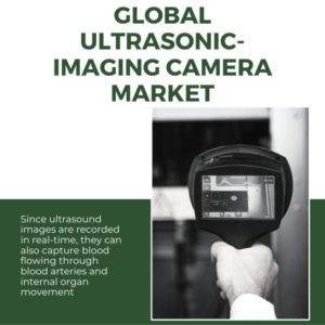 Infographic: Ultrasonic Imaging Camera Market, Ultrasonic Imaging Camera Size, Ultrasonic Imaging Camera Trends, Ultrasonic Imaging Camera Forecast, Ultrasonic Imaging Camera Risks, Ultrasonic Imaging Camera Report, Ultrasonic Imaging Camera Share