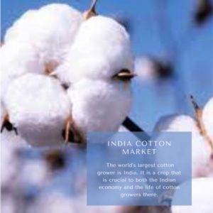 Infographics-India Cotton Market , India Cotton Market Size, India Cotton Market Trends, India Cotton Market Forecast, India Cotton Market Risks, India Cotton Market Report, India Cotton Market Share