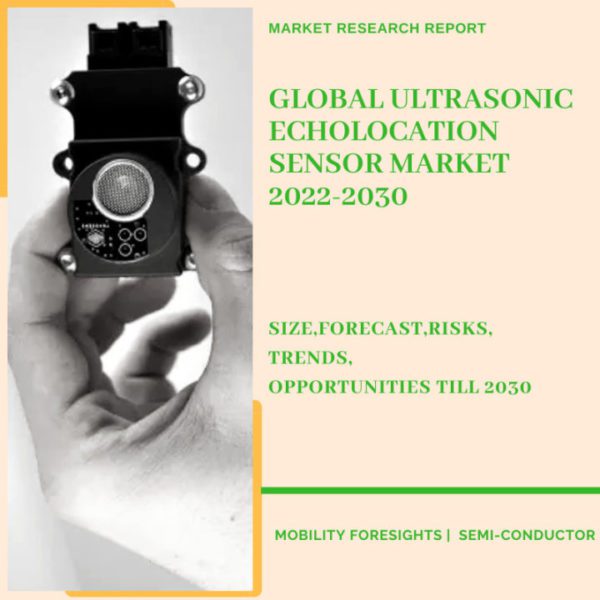 Global Ultrasonic Echolocation Sensor Market 2022-2030