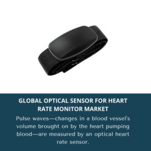 Optical Sensor For Heart Rate Monitor Market Share