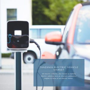 Infographics-Tanzania Electric Vehicle Market , Tanzania Electric Vehicle Market Size, Tanzania Electric Vehicle Market Trends, Tanzania Electric Vehicle Market Forecast, Tanzania Electric Vehicle Market Risks, Tanzania Electric Vehicle Market Report, Tanzania Electric Vehicle Market Share