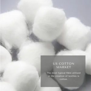 Infographics-US Cotton Market , US Cotton Market Size, US Cotton Market Trends, US Cotton Market Forecast, US Cotton Market Risks, US Cotton Market Report, US Cotton Market Share