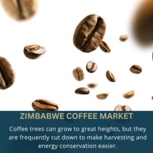 Zimbabwe Coffee market