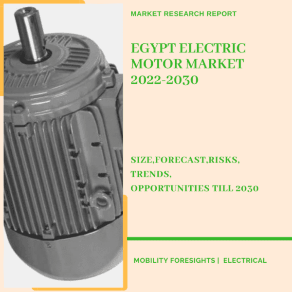 Egypt Electric Motor Market