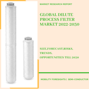 Dilute Process Filter Market