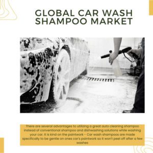 Infographic: Car Wash Shampoo Market, Car Wash Shampoo Market Size, Car Wash Shampoo Market Trends, Car Wash Shampoo Market Forecast, Car Wash Shampoo Market Risks, Car Wash Shampoo Market Report, Car Wash Shampoo Market Share