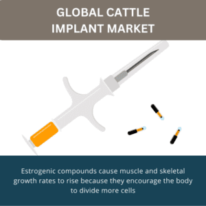 infographics; Cattle Implant Market ,
Cattle Implant Market  Size,
Cattle Implant Market  Trends, 
Cattle Implant Market  Forecast,
Cattle Implant Market  Risks,
Cattle Implant Market Report,
Cattle Implant Market  Share

