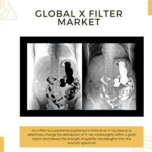 Infographic: X Filter Market, X Filter Market Size, X Filter Market Trends, X Filter Market Forecast, X Filter Market Risks, X Filter Market Report, X Filter Market Share