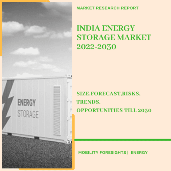 India Energy Storage Market