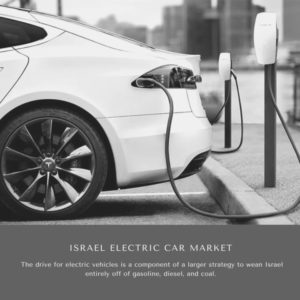 Infographics-Israel Electric Car Market, Israel Electric Car Market Size, Israel Electric Car Market T rends, Israel Electric Car Market Forecast, Israel Electric Car Market Risks, Israel Electric Car Market Report, Israel Electric Car Market Share