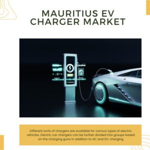 Infographic: Mauritius EV Charger Market, Mauritius EV Charger Market Size, Mauritius EV Charger Market Trends, Mauritius EV Charger Market Forecast, Mauritius EV Charger Market Risks, Mauritius EV Charger Market Report, Mauritius EV Charger Market Share