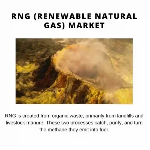 RNG (RENEWABLE NATURAL GAS) MARKET