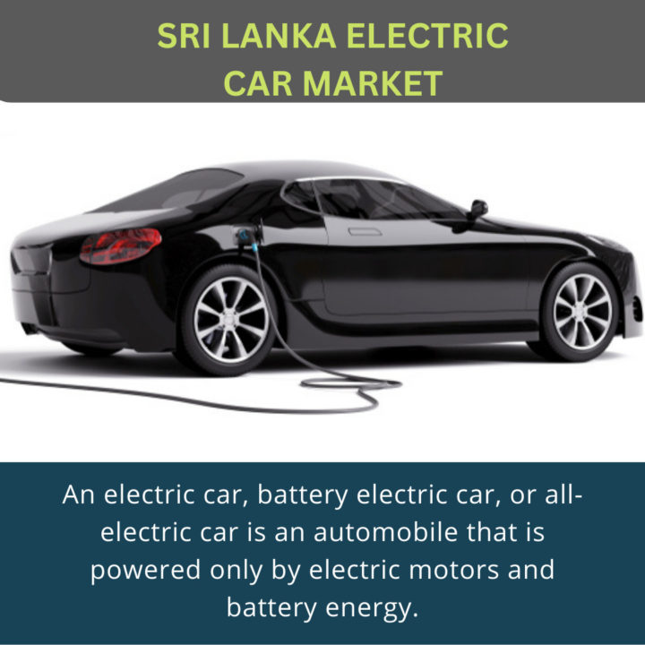 electric car import sri lanka