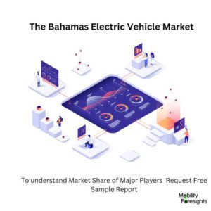 infographic;The Bahamas Electric Vehicle Market, The Bahamas Electric Vehicle Market Size, The Bahamas Electric Vehicle Market Trends, The Bahamas Electric Vehicle Market Forecast, The Bahamas Electric Vehicle Market Risks, The Bahamas Electric Vehicle Market Report, The Bahamas Electric Vehicle Market Share 
