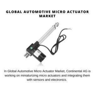 Automotive Micro Actuator Market Share