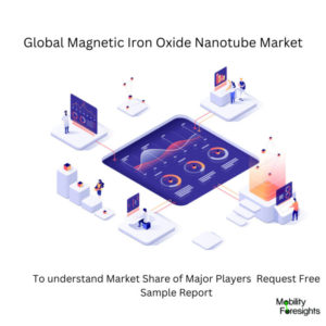 infographic: Magnetic Iron Oxide Nanotube Market, Magnetic Iron Oxide Nanotube Market Size, Magnetic Iron Oxide Nanotube Market Trends, Magnetic Iron Oxide Nanotube Market Forecast, Magnetic Iron Oxide Nanotube Market Risks, Magnetic Iron Oxide Nanotube Market Report, Magnetic Iron Oxide Nanotube Market Share