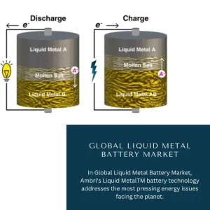 Liquid Metal Battery Market Share