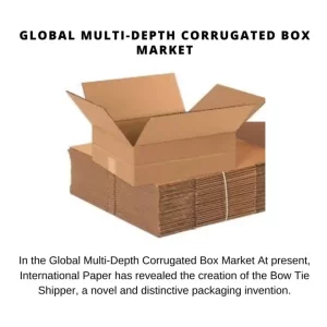 Multi-Depth Corrugated Box Market