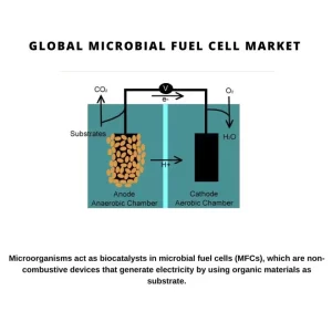 Microbial Fuel Cell Market 