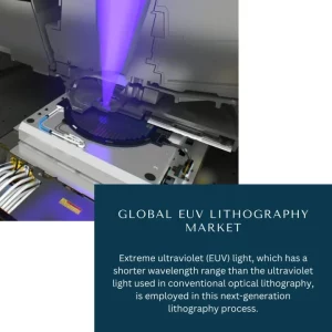 EUV Lithography Market Share