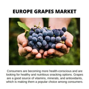 infographic : Europe Grapes Market , Europe Grapes Market Size, Europe Grapes Market Trend, Europe Grapes Market ForeCast, Europe Grapes Market Risks, Europe Grapes Market Report, Europe Grapes Market Share 